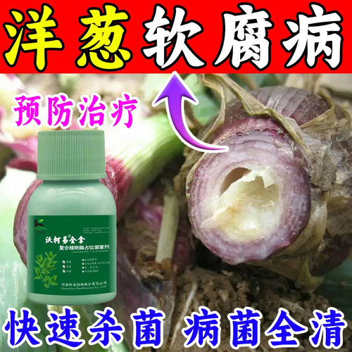 洋葱病全治农用根腐病霜霉病紫斑病灰霉病黄矮病防畸形通用杀菌剂
