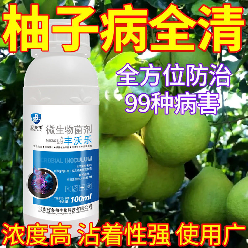 柚子病白斑病炭疽病全治柚子杀菌剂微生物菌剂速效灭菌病害杀菌药
