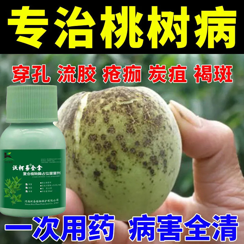 桃树烂果药】桃子病治褐腐病霜霉病灰霉病杀菌剂桃树流胶病专用药