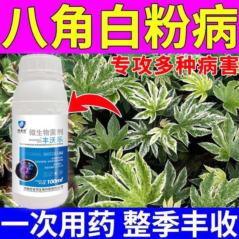 八角专用药八角病害清杀菌剂防治炭疽病黄叶掉叶日灼病烟煤病疫病