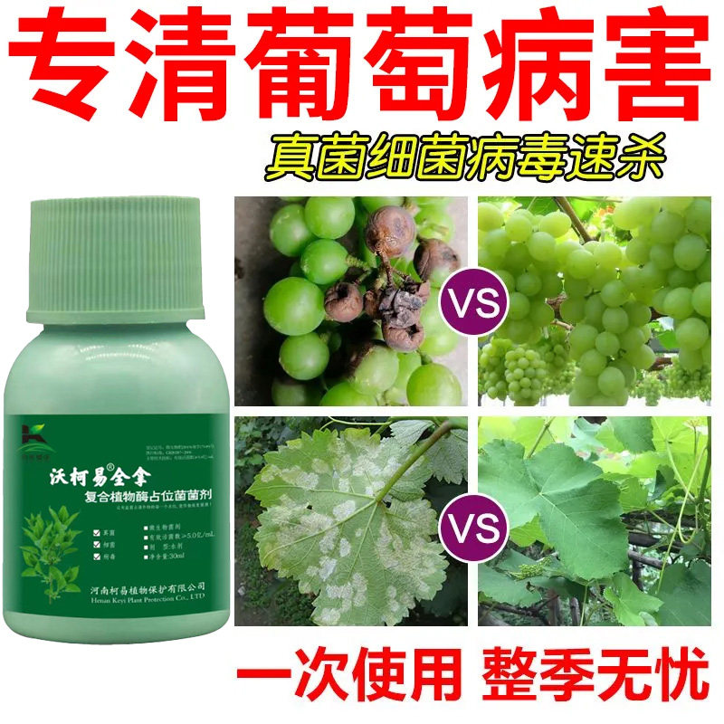 葡萄专用药炭疽病白粉病烂果霜霉灰霉黑痘酸腐蔓枯溃疡专用杀菌剂