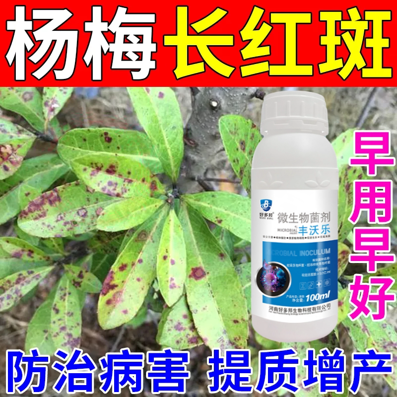 杨梅树专用药治癌肿病卷叶黄叶病红斑病杨梅保花保果专用肥料