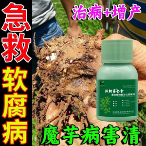 魔芋专用要魔芋专用杀菌剂魔芋病专用防病汰腐净魔芋灵魔芋软腐病