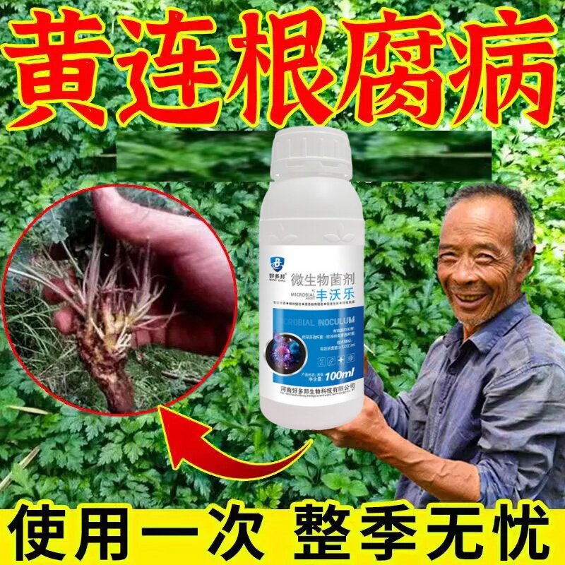 黄连病害清细黄链霉菌素黄连病红叶黄叶黑叶死苗烂根专用生物菌剂