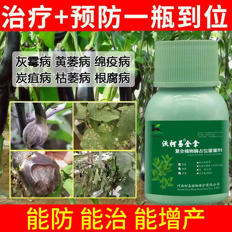茄子病烂果药腐皮烂身早疫叶斑灰霉黄萎病炭疽病菌核病微生物菌剂
