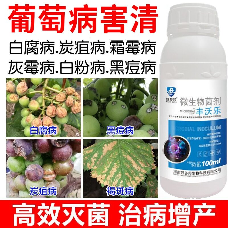 葡萄病专用药病全治葡萄专用杀菌剂病虫防害炭疽病白粉病烂果霜霉