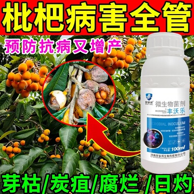 枇杷专用杀菌剂防治枇杷炭疽病锈斑日灼栓皮黄叶落叶烂果病专用药