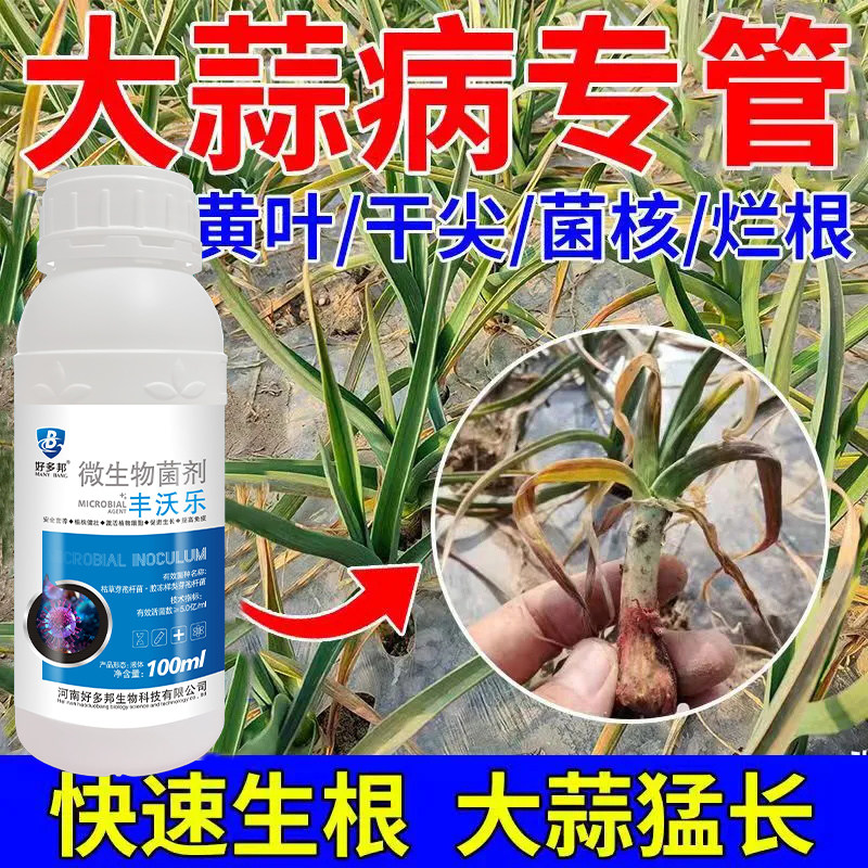 大蒜专用药肥料蒜苗黄叶病根腐锈斑葱蒜韭干尖灵枯增产防病杀菌剂