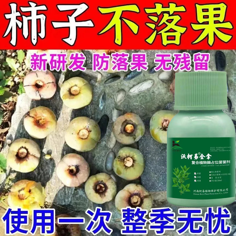 柿子病全治柿子树万能型白粉病炭疽病专用药叶枯病圆斑病生物菌剂