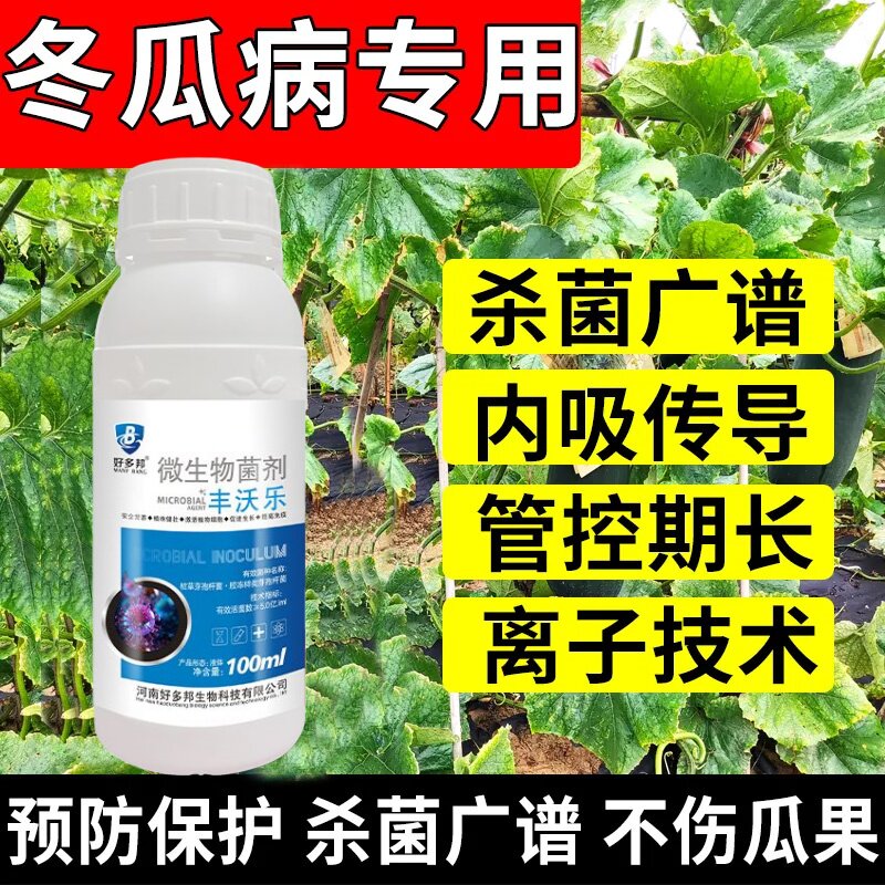 冬瓜杀菌剂冬瓜病全治专用杀菌药全杀褐斑病烟煤病