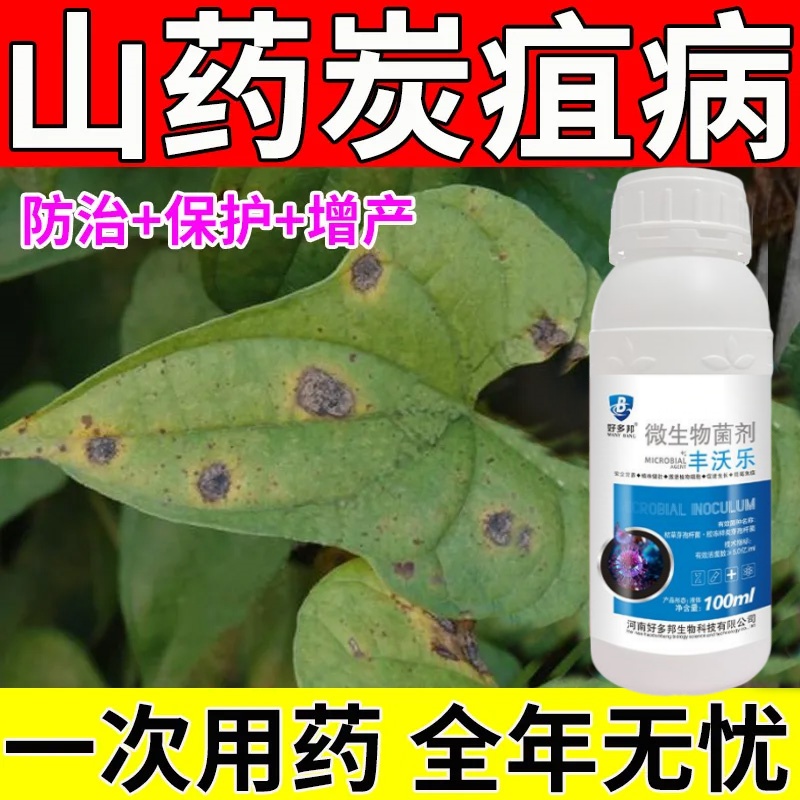 山药专用菌剂山药斑枯病黑斑褐斑褐腐白锈山药叶面肥山药病害专用