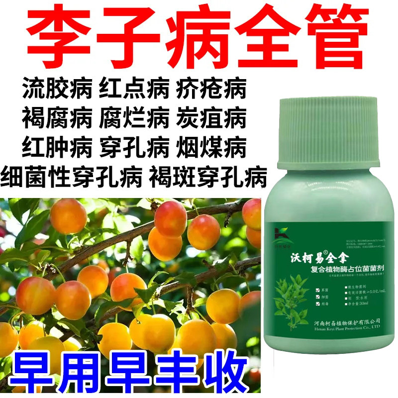 李子专用药李子杀菌剂流胶病疮痂病穿孔褐腐病杀菌李子专用治病药