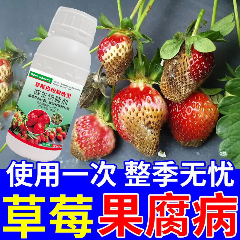 草莓病专用杀菌剂草莓炭疽病白粉病根腐病灰霉病防治大棚专用正品