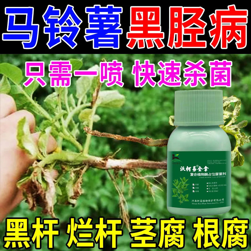 马铃薯杀菌预防治疗真菌细菌病毒克星土豆防治结合抗病增产安全