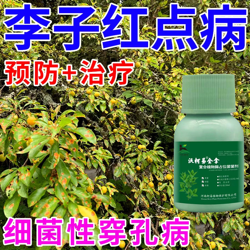 李子病害专用李子杀菌剂流胶病疮痂病穿孔褐腐病杀菌李子专用肥料