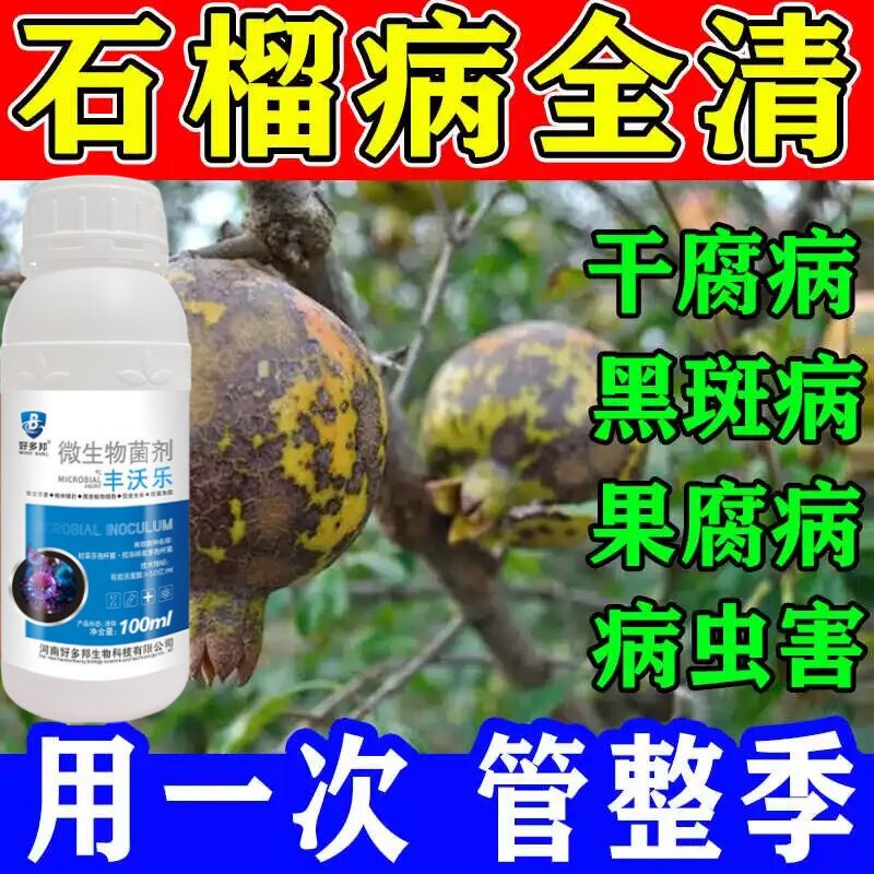 石榴烂果药腐皮烂身防干腐病褐斑病煤污病石榴病害快速急救病全治