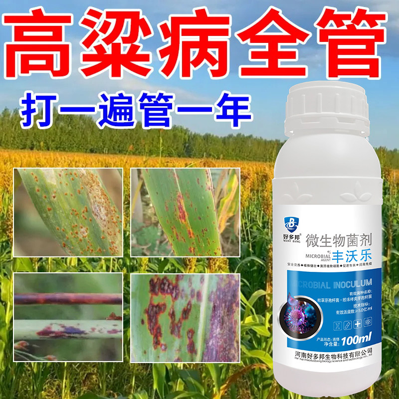 高粱专用杀菌剂高粱病全治黑穗病红叶病大斑病斑点病烟煤病杀菌剂