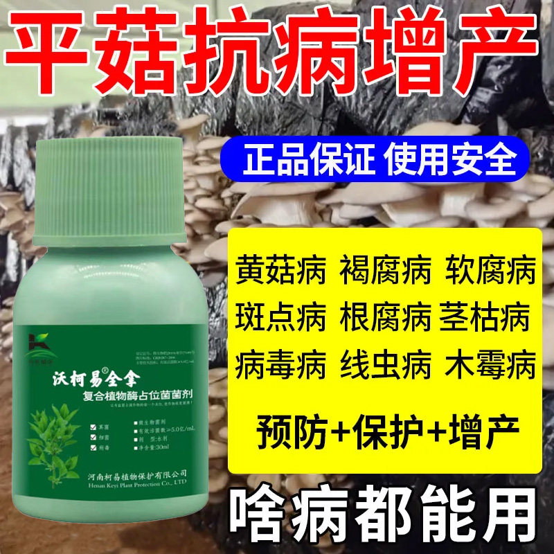 香菇绿霉菌病害清平菇金针菇细菌斑点病黑腐病曲霉疫黑腐病毒病