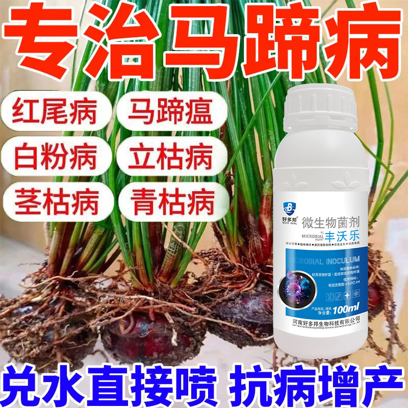 马蹄病全治马蹄杀菌剂荸荠黄萎病红尾病白粉病杆枯病马蹄瘟茎腐病