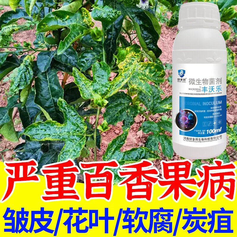 百香果专用药百香果黄化病黄叶卷叶一喷灵补充营养快速转绿叶面肥