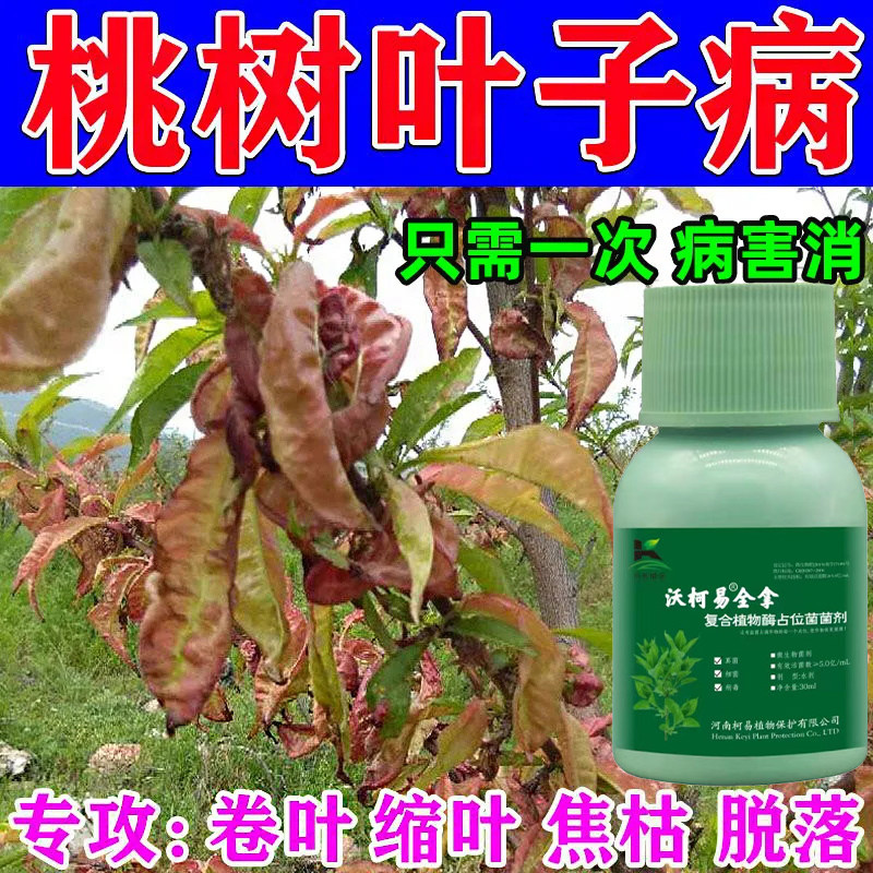 桃树病专用药桃子烂果褐腐病霜霉病灰霉病杀菌剂桃树流胶病专用药