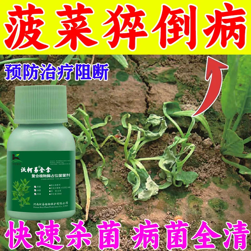 菠菜病全治霜霉软腐黑腐白斑枯萎炭疽黑斑菠菜杀菌剂菠菜病专用药