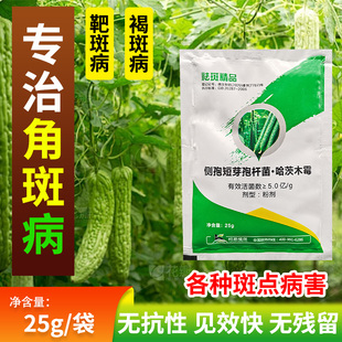 黄瓜专用微生物肥料小黄点白粉靶斑黄点清蔬菜通用杀菌剂病害清
