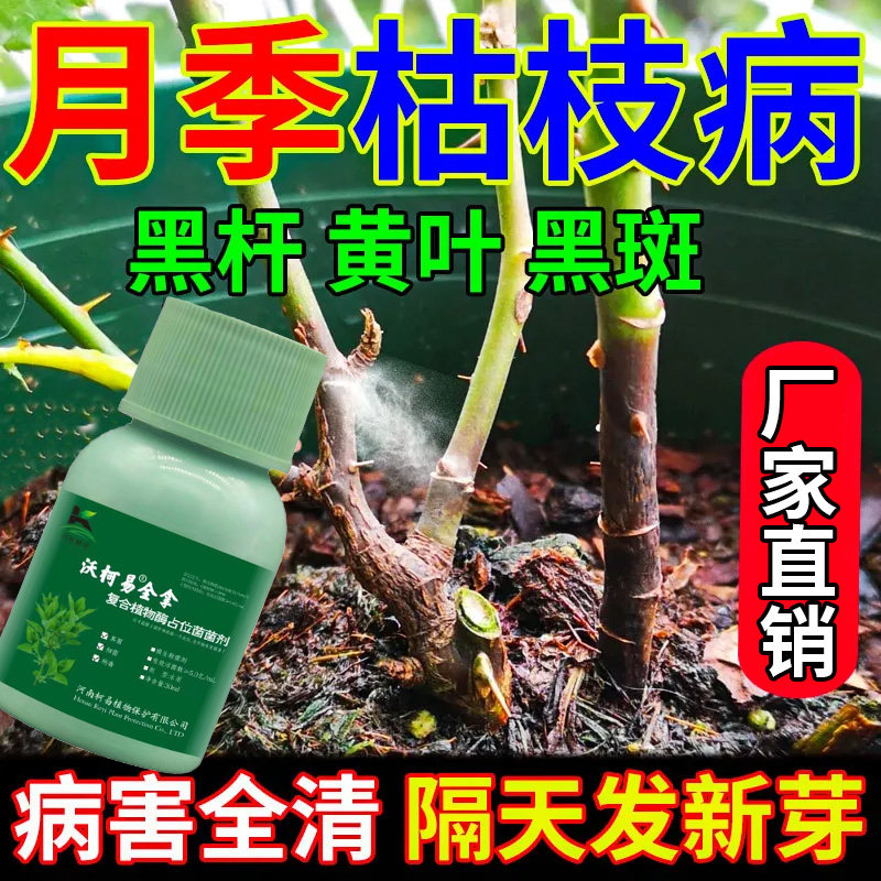 月季花专用药病全治月季白粉病叶斑病黄叶子掉叶枯萎通用型营养液