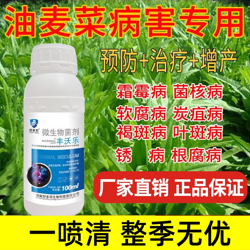 油麦菜专用杀菌剂油麦菜病全治霜霉病白斑病炭疽病褐斑病菌核病