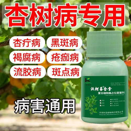 杏树病专治杏树病害专用杏树菌剂杏树穿孔病褐腐病流胶病红点病清