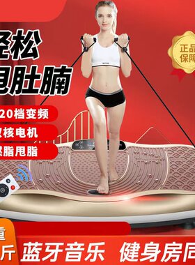 腾尔迈震动甩脂机瘦肚瘦腰瘦腿
