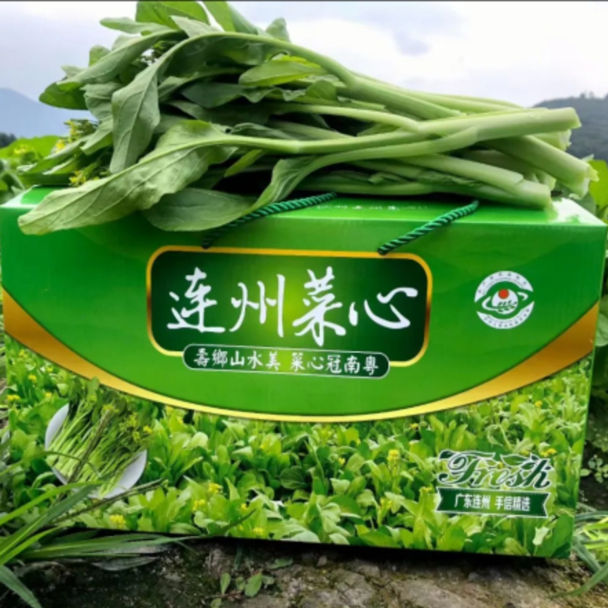 连州菜心2号细条爽脆清甜新鲜蔬菜时令当季露天种植现摘混合装