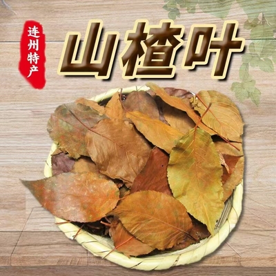 梨楂叶新鲜野生山楂叶甘甜止渴500克广东特产