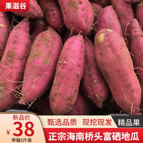 海南澄迈桥头富硒新鲜斤装番薯