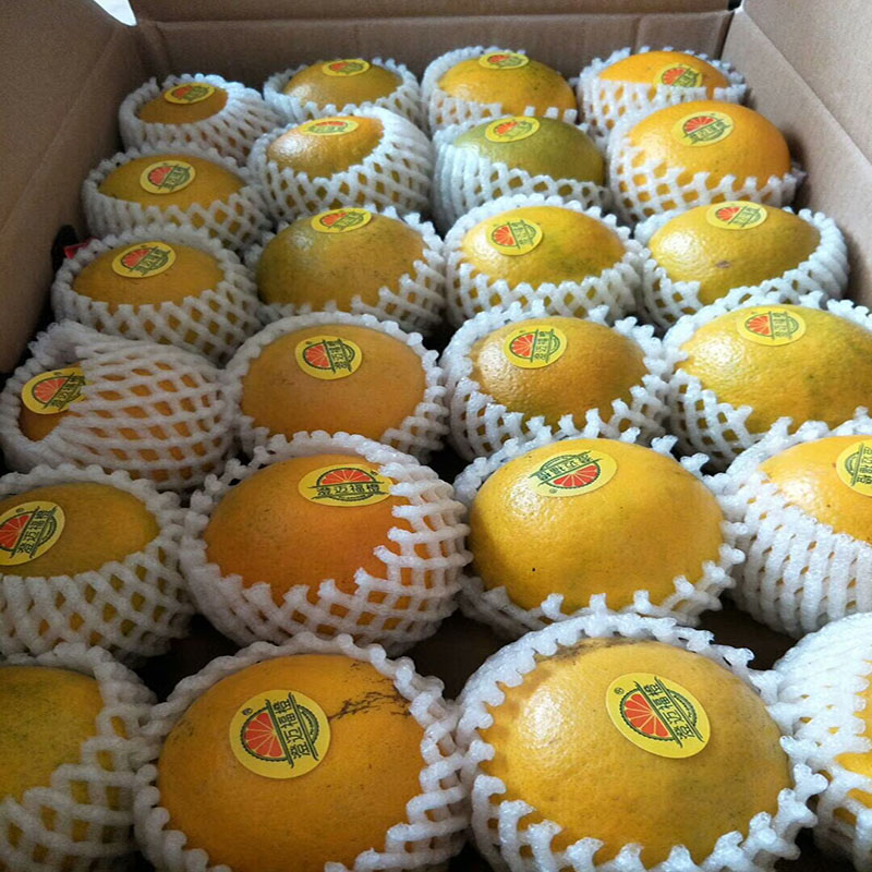 顺丰快递礼盒装海南富硒福橙