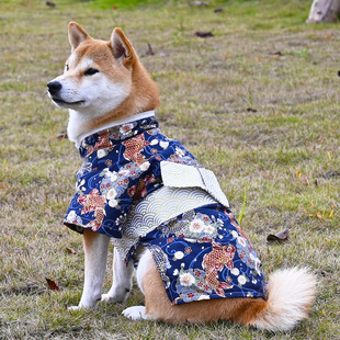 纯棉宠物狗狗猫咪衣服 拍照和服浴衣 柯基柴犬衣服日式 公狗男款