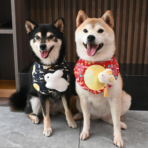 中秋玉兔/宠物狗狗法斗泰迪柴犬围巾口水巾三角巾围脖国风纯棉