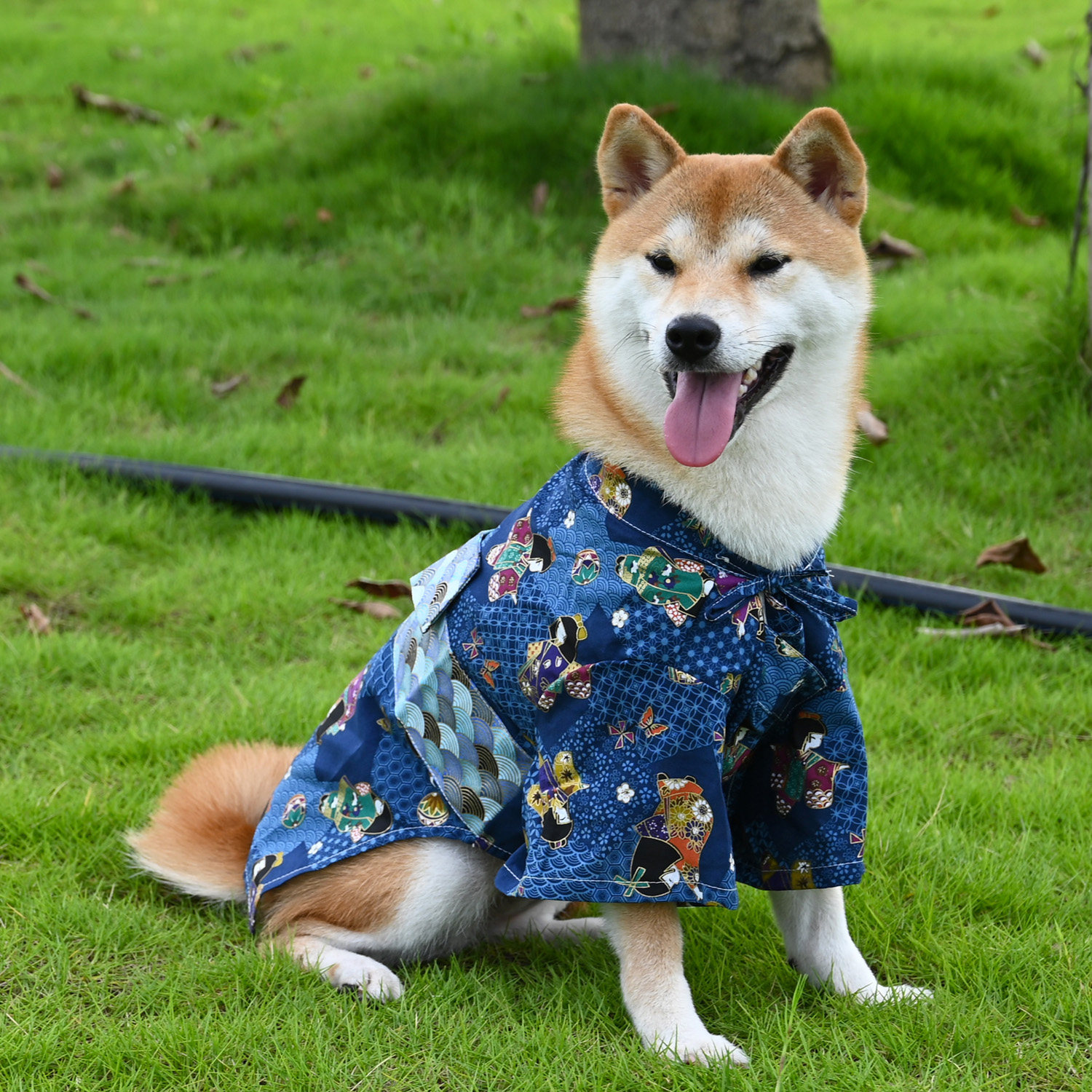宠物和服狗狗柯基雪纳瑞柴犬衣服和服公母狗男女款日本浴衣纯棉