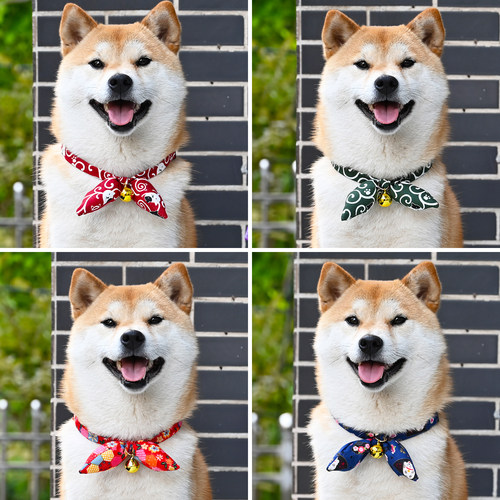 和风唐草纹项圈脖圈布偶猫柴犬