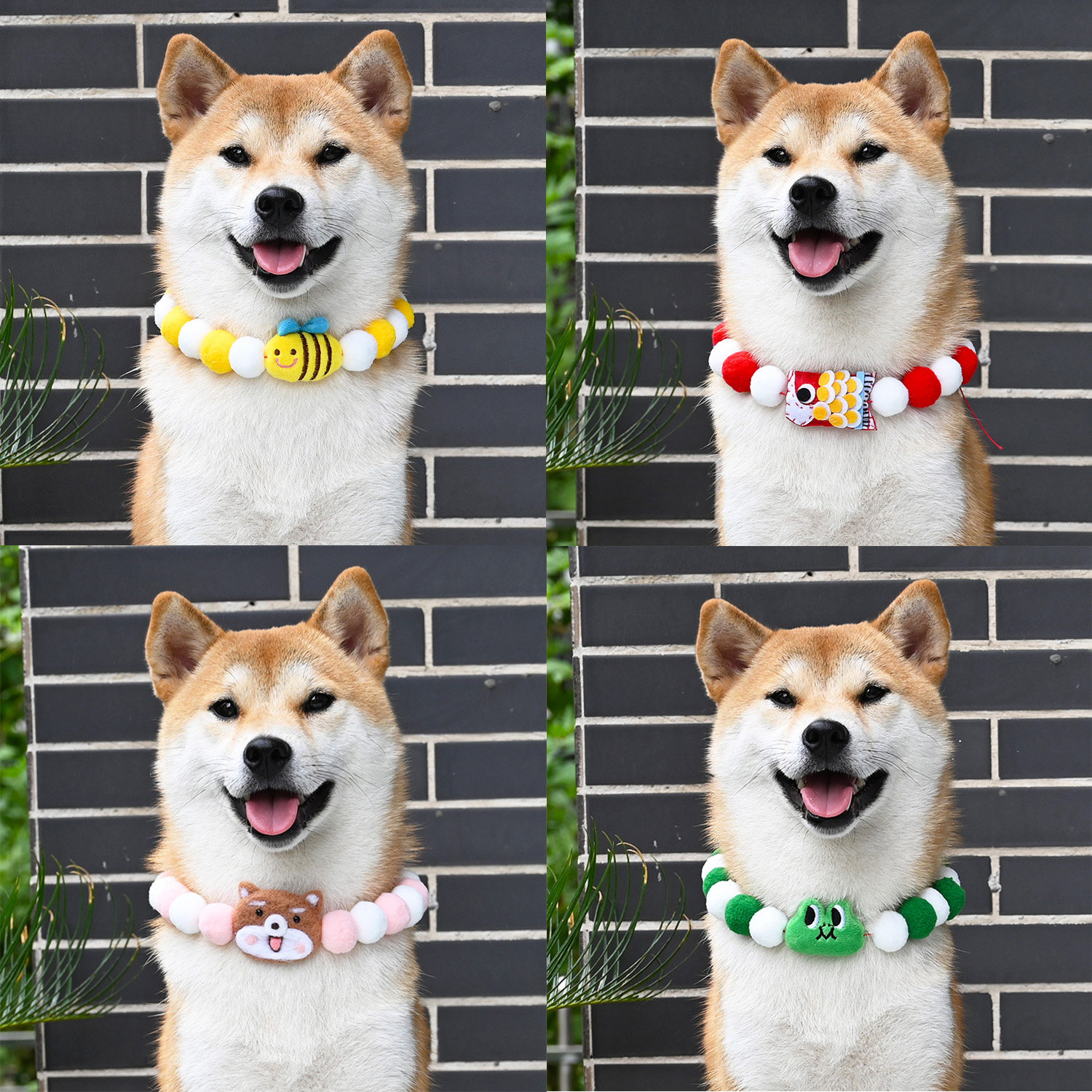 宠物狗狗猫咪毛球项链 彩虹撞色锦鲤太阳花柴犬柯基泰迪脖圈饰品