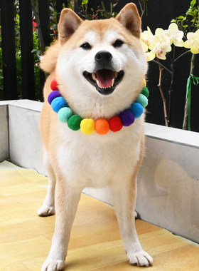 宠物糖果色柴犬柯基泰迪猫咪项圈