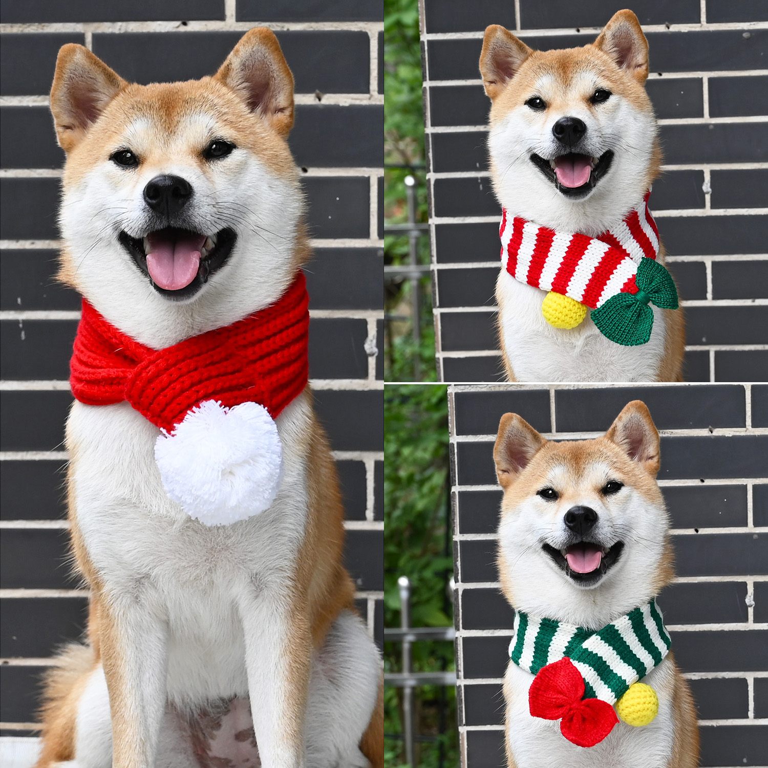 柯基秋冬季节日毛线针织狗狗围巾