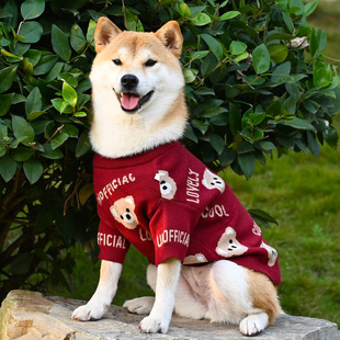 宠物狗狗新年喜庆红色小熊中小型犬针织衫衣服泰迪柯基柴犬毛衣
