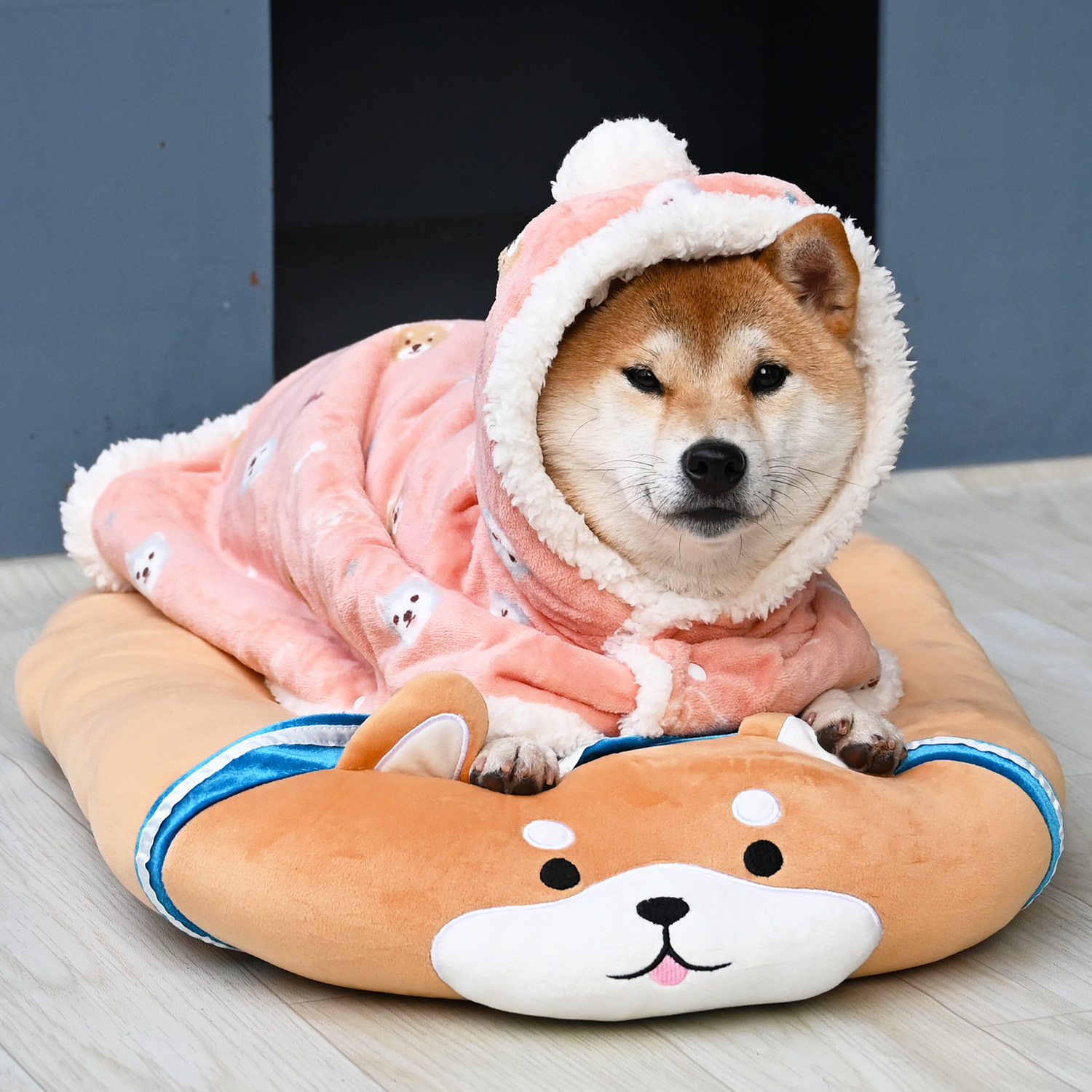 秋冬加厚宠物狗狗衣服保暖毛绒毯子睡觉被子柯基柴犬披风斗篷睡袍