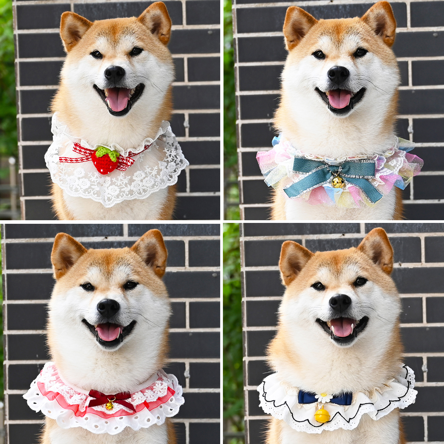 柴犬领结蝴蝶结项链可爱围脖