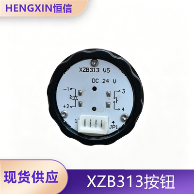 电梯按钮XZB313全新现货