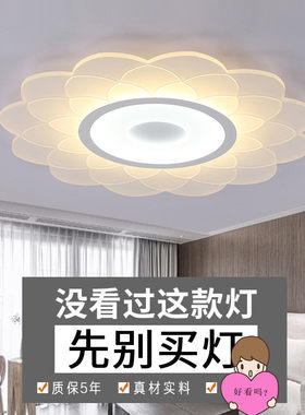 浪漫超薄卧室LED简约2022年房间吸客厅灯餐厅婚房新款温馨顶灯