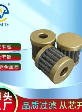 定制PT燃油泵滤芯146483 3090769 149767滤网燃油滤芯折叠过滤