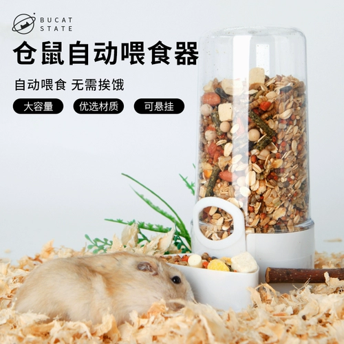 Hamsk Automatic Feeder с крупным кормочным устройством Gold Silk Bear Guernar Rabbit, Rabbit, Squirrel Hedgehog, Products Hamster