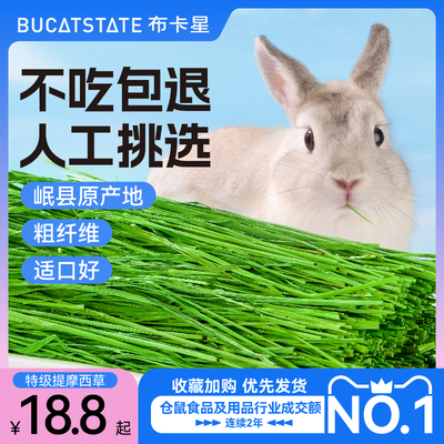 布卡星兔子干草提摩西草